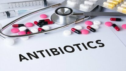 专访Paul Sambrook：“抗生素耐药性应得到足够的重视”