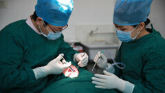 Pacientes chineses economizarão 50% no tratamento com implantes dentários
