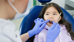 New paediatric dental database removes access barriers to information