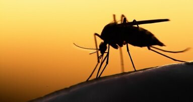 Triclosan pode ajudar a combater a malária resistente a medicamentos