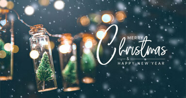 Wir wünschen Ihnen frohe Weihnachten und einen guten Rutsch!