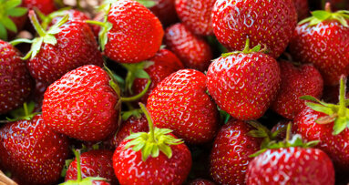 美研究发现草莓在口腔癌症防治当中的作用